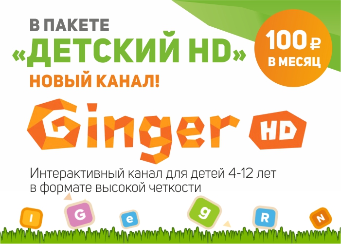 Информационный баннер Ginger Hd